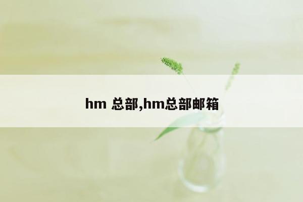 hm 总部,hm总部邮箱