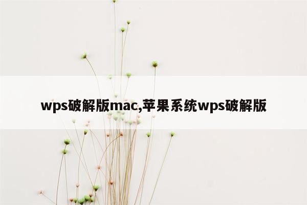 wps破解版mac,苹果系统wps破解版