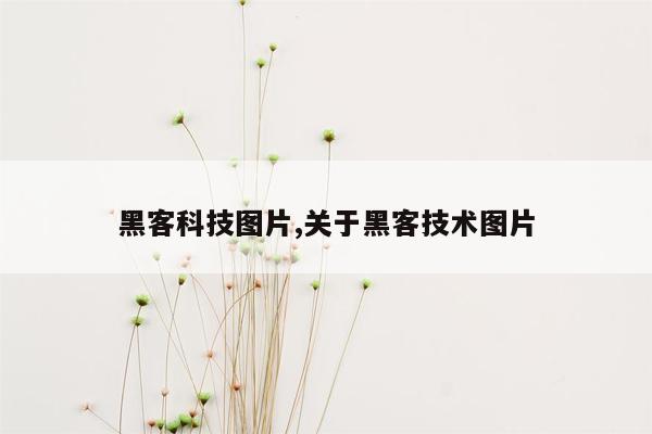 黑客科技图片,关于黑客技术图片