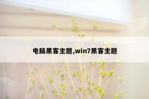 电脑黑客主题,win7黑客主题