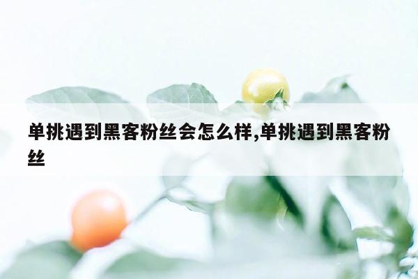 单挑遇到黑客粉丝会怎么样,单挑遇到黑客粉丝