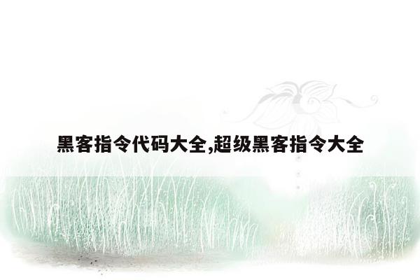 黑客指令代码大全,超级黑客指令大全