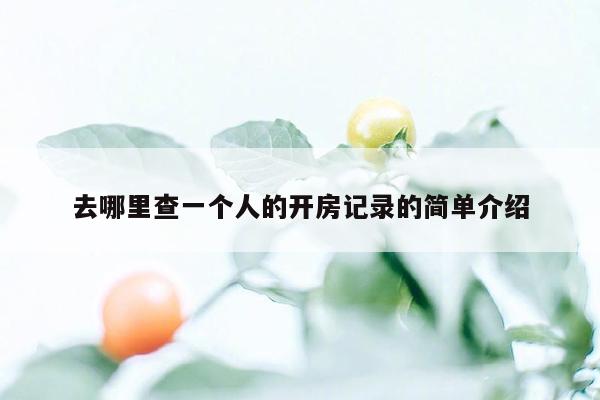 去哪里查一个人的开房记录的简单介绍