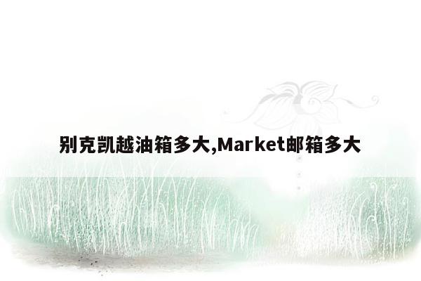 别克凯越油箱多大,Market邮箱多大