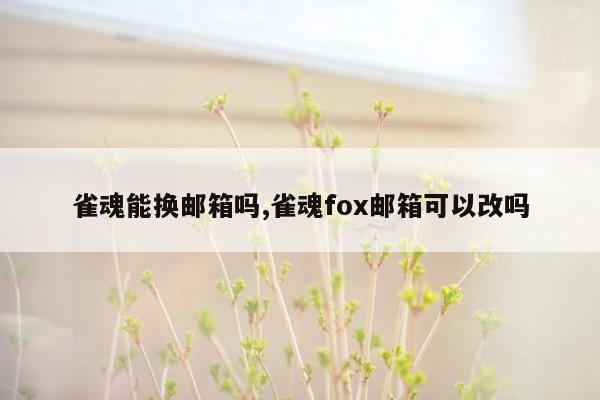 雀魂能换邮箱吗,雀魂fox邮箱可以改吗