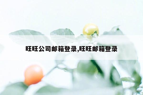 旺旺公司邮箱登录,旺旺邮箱登录