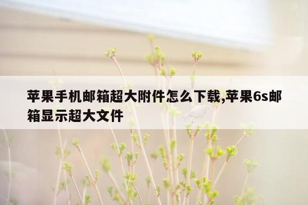 苹果手机邮箱超大附件怎么下载,苹果6s邮箱显示超大文件