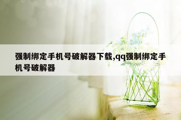 强制绑定手机号破解器下载,qq强制绑定手机号破解器