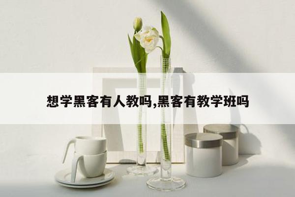 想学黑客有人教吗,黑客有教学班吗