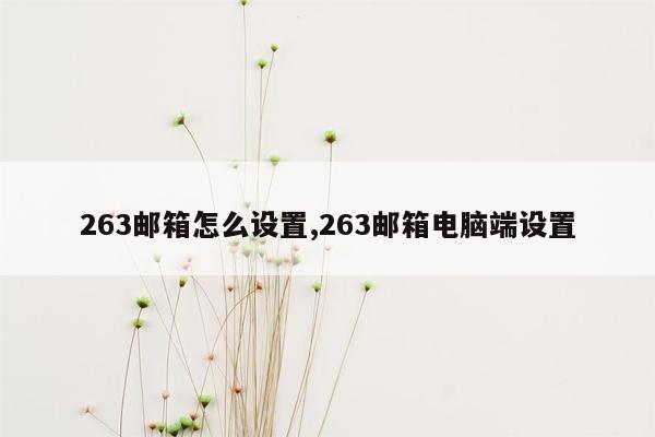 263邮箱怎么设置,263邮箱电脑端设置