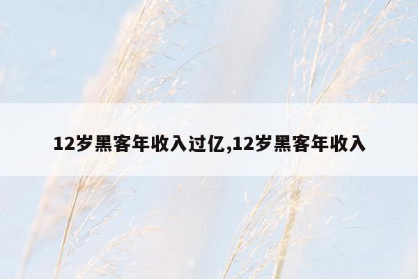 12岁黑客年收入过亿,12岁黑客年收入