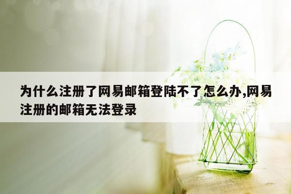 为什么注册了网易邮箱登陆不了怎么办,网易注册的邮箱无法登录