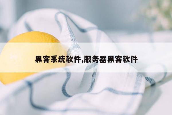 黑客系统软件,服务器黑客软件