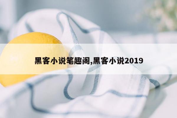 黑客小说笔趣阁,黑客小说2019