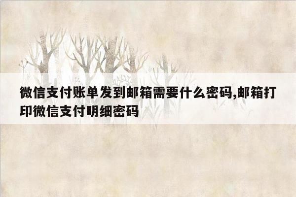 微信支付账单发到邮箱需要什么密码,邮箱打印微信支付明细密码