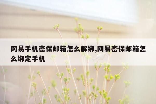 网易手机密保邮箱怎么解绑,网易密保邮箱怎么绑定手机