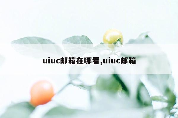 uiuc邮箱在哪看,uiuc邮箱