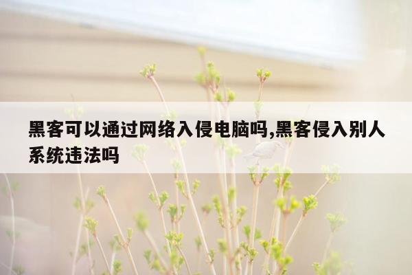 黑客可以通过网络入侵电脑吗,黑客侵入别人系统违法吗