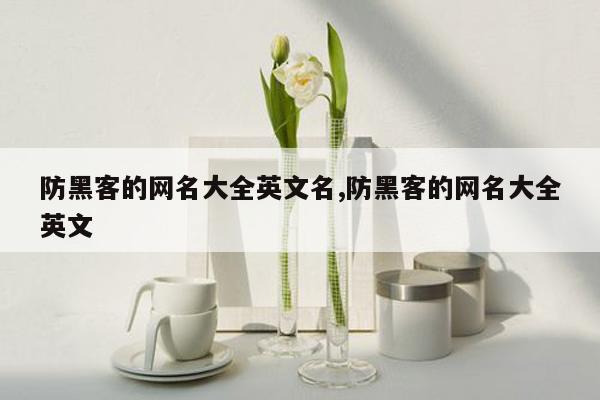 防黑客的网名大全英文名,防黑客的网名大全英文