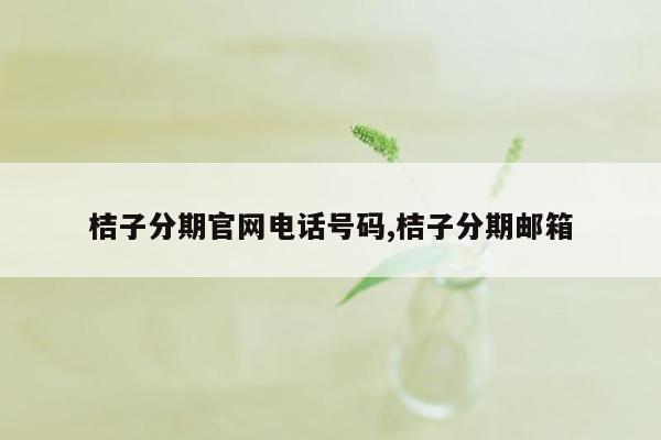 桔子分期官网电话号码,桔子分期邮箱