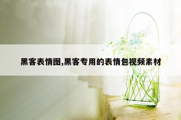 黑客表情图,黑客专用的表情包视频素材