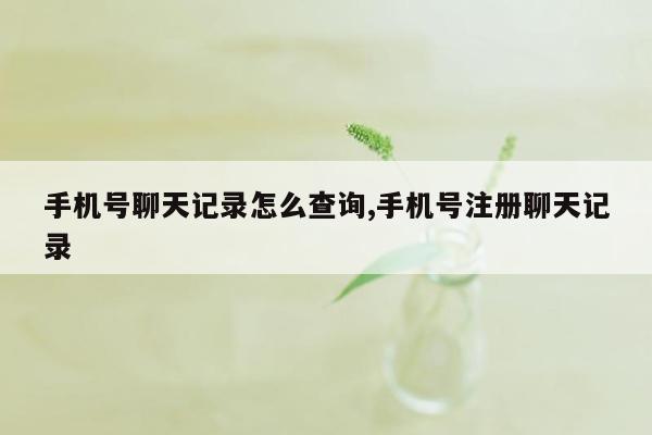 手机号聊天记录怎么查询,手机号注册聊天记录