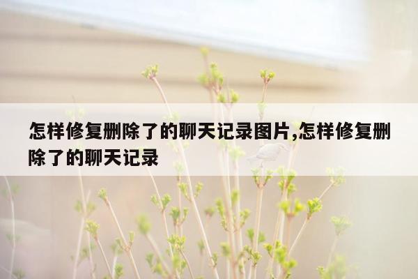 怎样修复删除了的聊天记录图片,怎样修复删除了的聊天记录