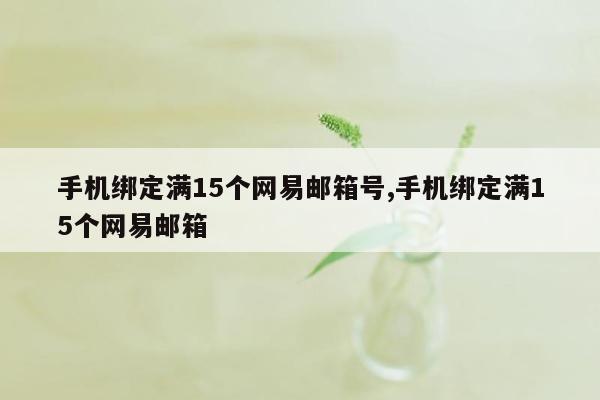 手机绑定满15个网易邮箱号,手机绑定满15个网易邮箱