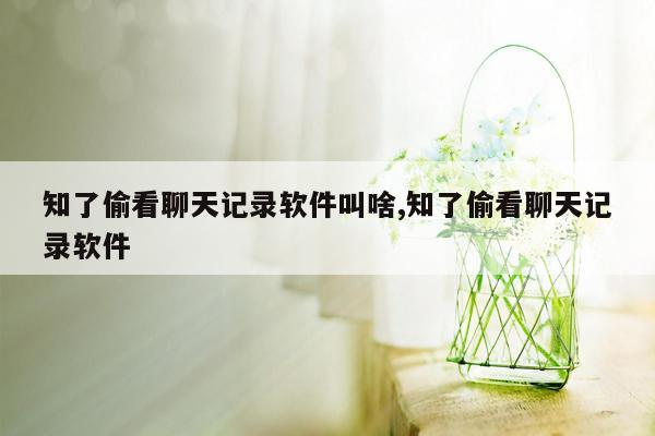 知了偷看聊天记录软件叫啥,知了偷看聊天记录软件