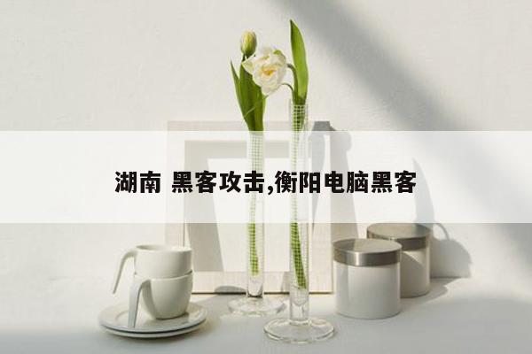 湖南 黑客攻击,衡阳电脑黑客