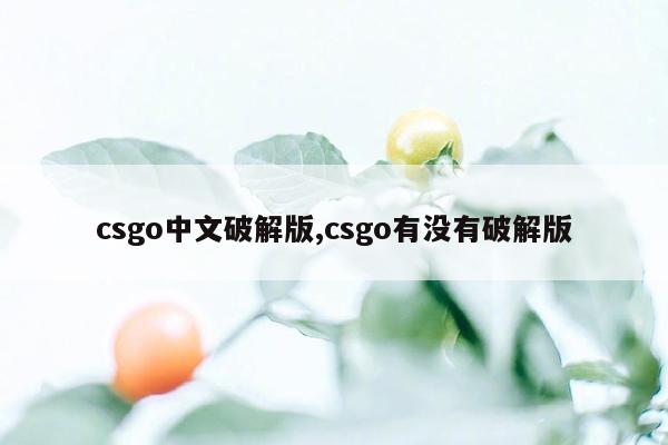 csgo中文破解版,csgo有没有破解版