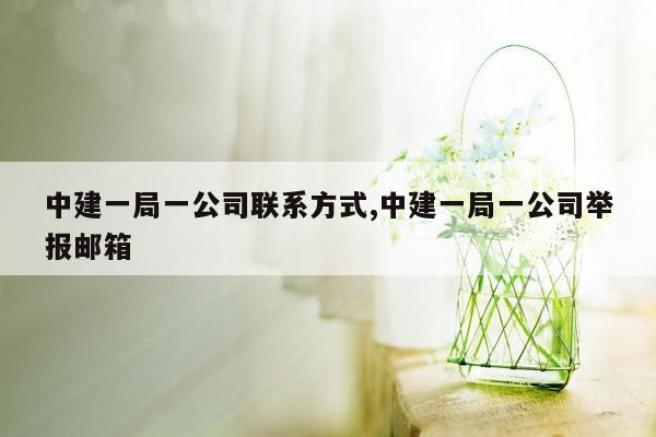 中建一局一公司联系方式,中建一局一公司举报邮箱