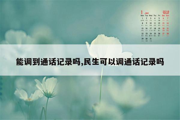 能调到通话记录吗,民生可以调通话记录吗