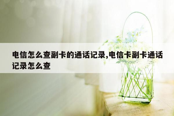 电信怎么查副卡的通话记录,电信卡副卡通话记录怎么查