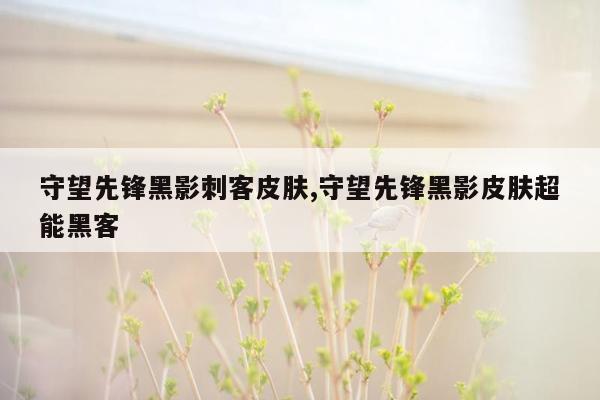 守望先锋黑影刺客皮肤,守望先锋黑影皮肤超能黑客