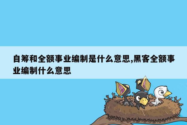 自筹和全额事业编制是什么意思,黑客全额事业编制什么意思