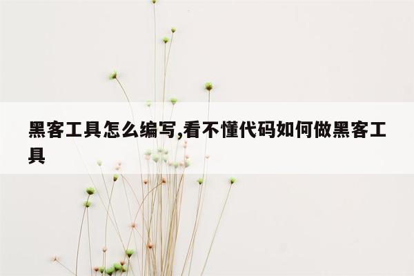 黑客工具怎么编写,看不懂代码如何做黑客工具