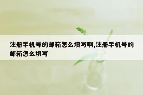 注册手机号的邮箱怎么填写啊,注册手机号的邮箱怎么填写