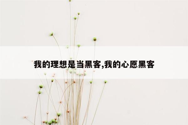 我的理想是当黑客,我的心愿黑客