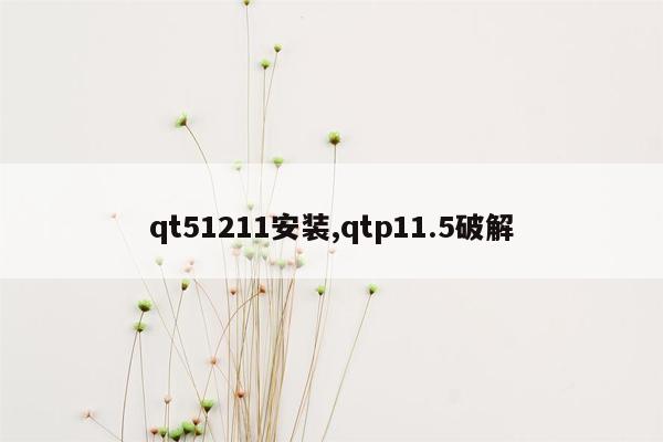 qt51211安装,qtp11.5破解