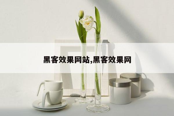 黑客效果网站,黑客效果网