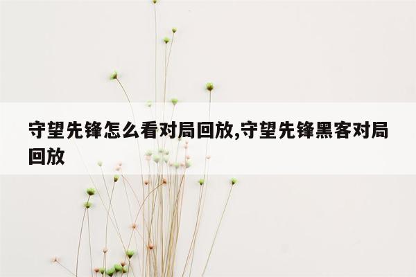 守望先锋怎么看对局回放,守望先锋黑客对局回放