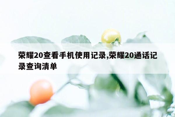 荣耀20查看手机使用记录,荣耀20通话记录查询清单