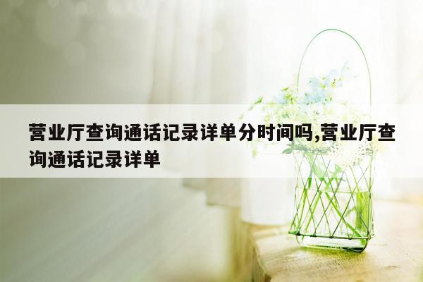 营业厅查询通话记录详单分时间吗,营业厅查询通话记录详单