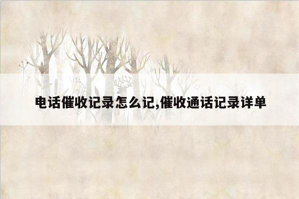 电话催收记录怎么记,催收通话记录详单