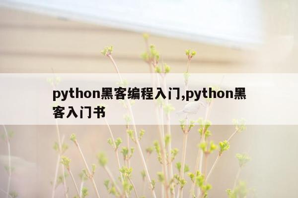 python黑客编程入门,python黑客入门书