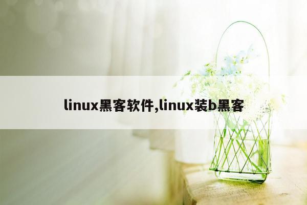 linux黑客软件,linux装b黑客