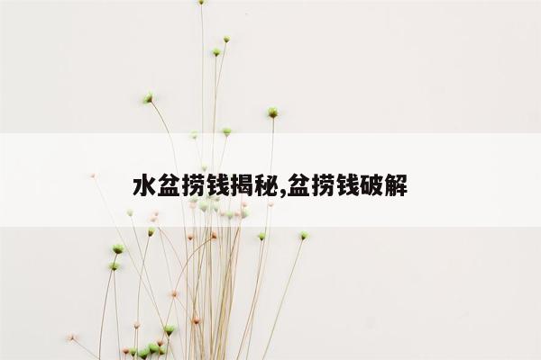 水盆捞钱揭秘,盆捞钱破解