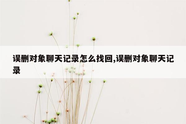 误删对象聊天记录怎么找回,误删对象聊天记录