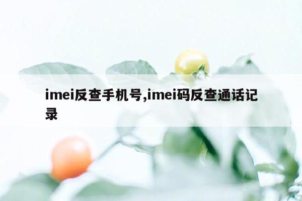 imei反查手机号,imei码反查通话记录